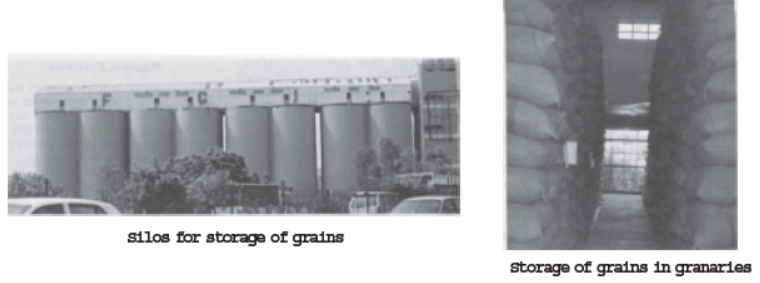 CBSE Class 8 Science Crop Production And Management Notes Set B