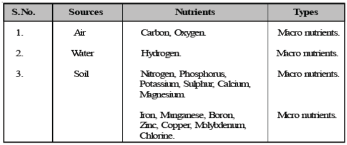 CBSE Class 8 Science Crop Production And Management Notes Set B