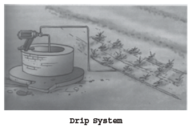 CBSE Class 8 Science Crop Production And Management Notes Set B