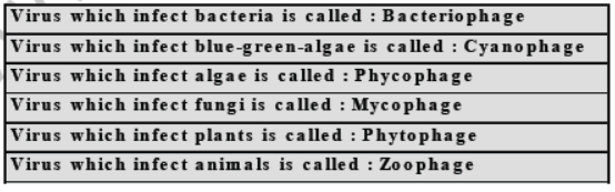 CBSE Class 8 Science Microorganism Friend And Foe Notes