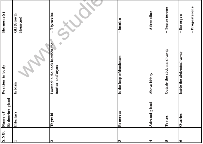 CBSE Class 8 Science Reaching The Age Of Adolescence Notes Set B