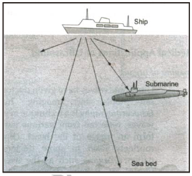 CBSE Class 8 Science Sound Notes Set B