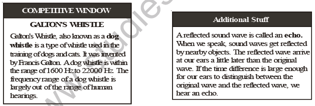 CBSE Class 8 Science Sound Notes Set B