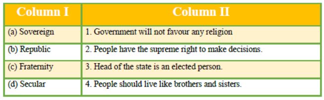 CBSE Class 9 Social Science Constitutional Design Notes