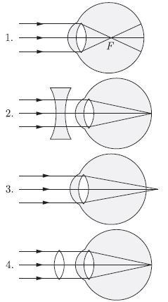 CBSE_ Class_9_Science_15