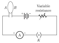 CBSE_ Class_9_Science_5