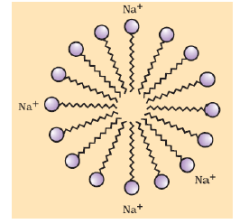 Carbon and its compounds 8