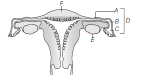 Human Reproduction 3