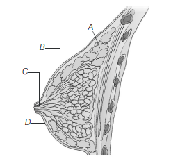 Human Reproduction 4