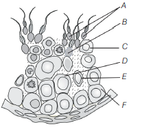 Human Reproduction 6