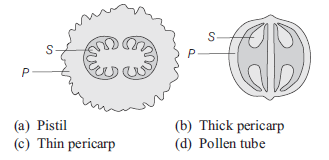 Reproduction in Organisms 9