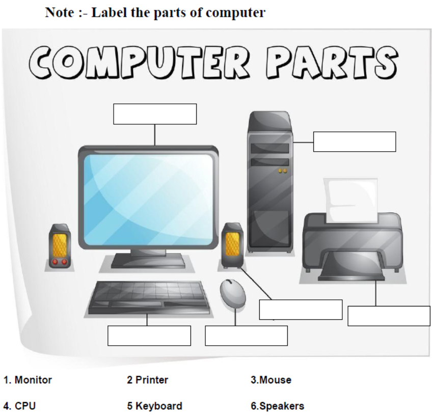 CBSE Class 1 Computer Science Assignment Set A