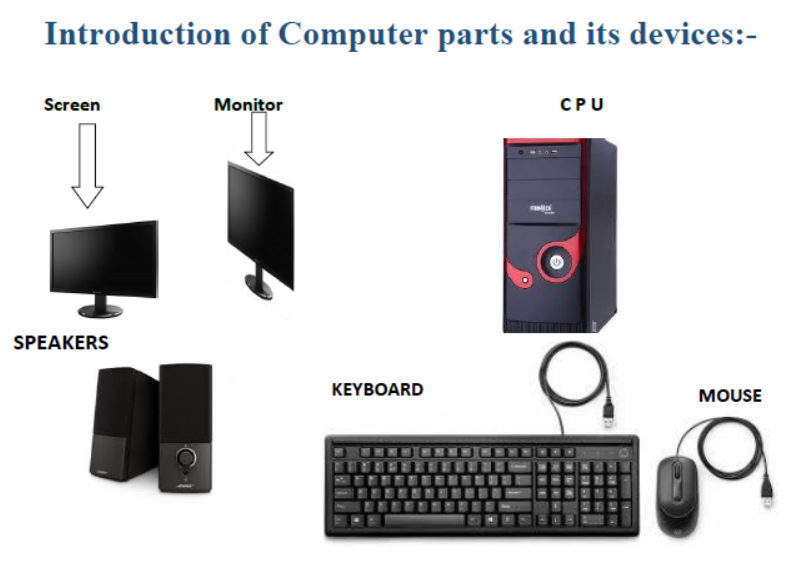 CBSE Class 1 Computer Science Revision Worksheet Set B