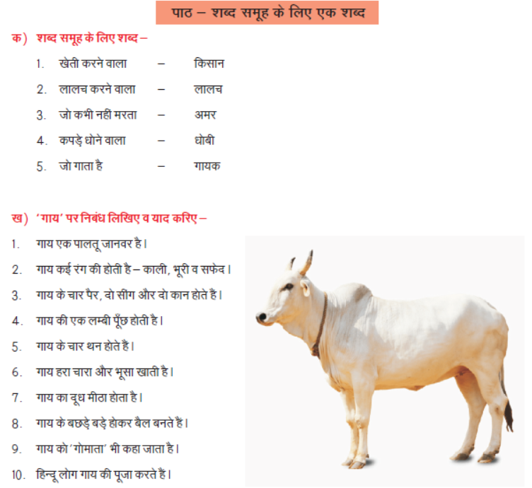 CBSE Class 1 Hindi Revision Worksheet Set _1