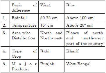 CBSE Class 10 Geography Agriculture Worksheet_1