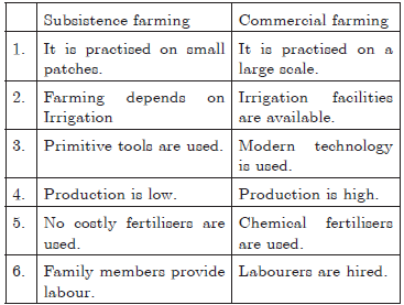 CBSE Class 10 Geography Agriculture Worksheet_2