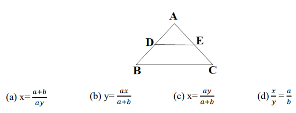 CBSE Class 10 Mathematics Standard Sample Paper 2023