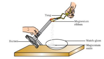 CBSE Class 10 Science Sample Paper 2023