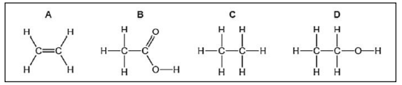 CBSE Class 10 Science Sample Paper 2023_4