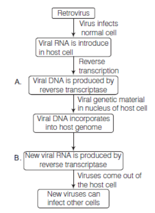 CBSE Class 12 Biology Human Health and Diseases VBQs