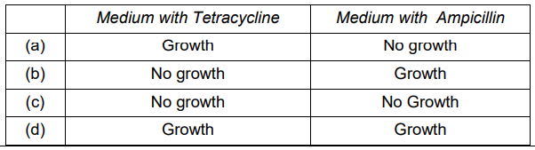 CBSE Class 12 Biology Sample Paper 2023 Solved