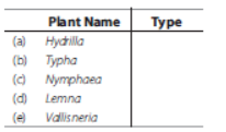 CBSE Class 12 Biotechnology_3