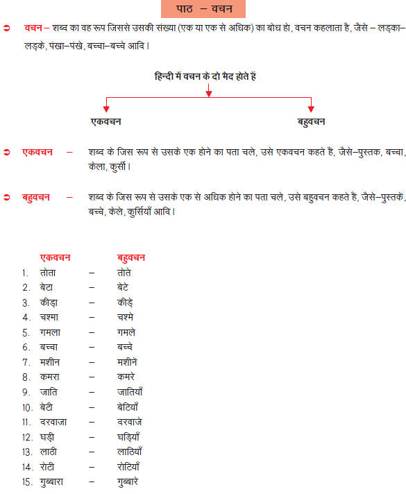 CBSE Class 6 Hindi Practice Worksheet Set 4_1
