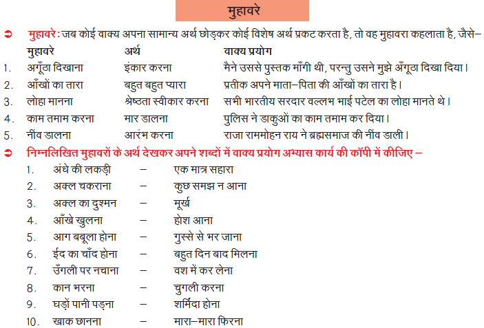 CBSE Class 7 Hindi Practice Worksheet Set A_1