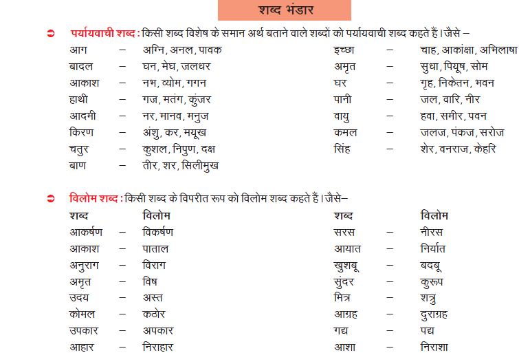 CBSE Class 7 Hindi Practice Worksheet Set B_1
