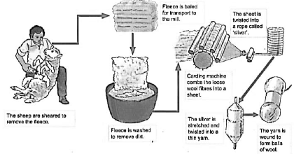 CBSE Class 7 Science Fibre to fabric Set B_2