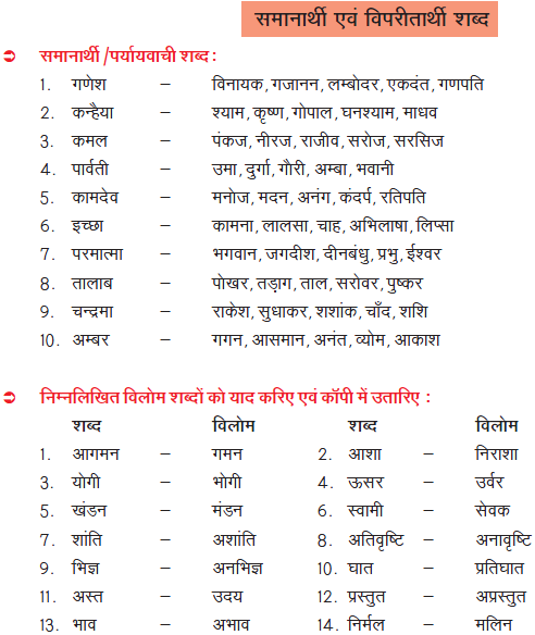 CBSE Class 8 Hindi Practice Worksheet Set B_1