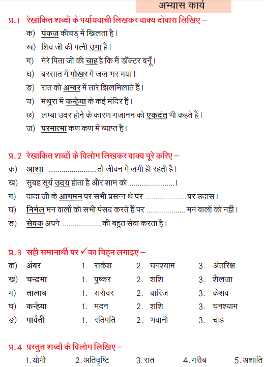 CBSE Class 8 Hindi Practice Worksheet Set B_2