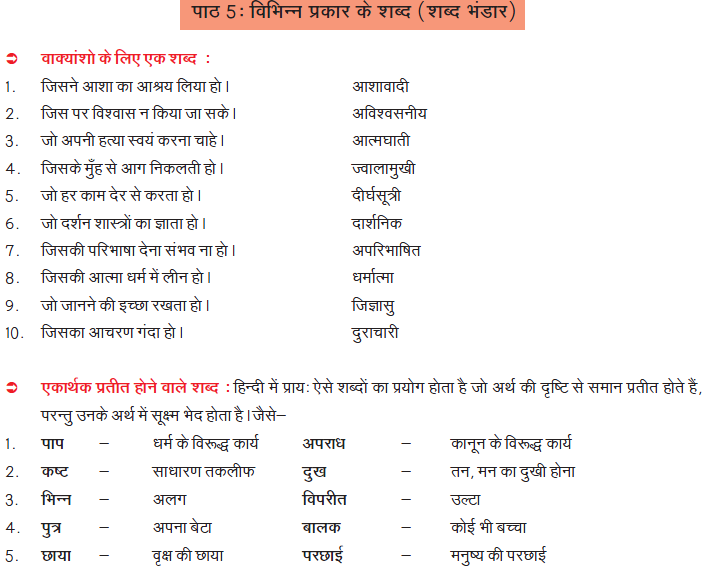 CBSE Class 8 Hindi Practice Worksheet Set C_1