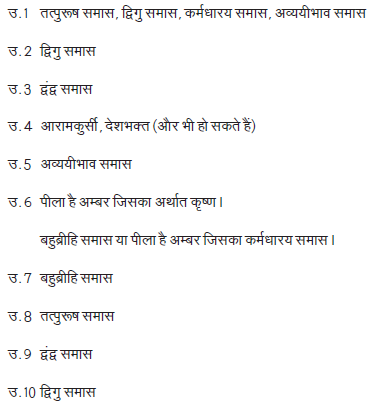 CBSE Class 9 Hindi Kabeerdaas Worksheet_2