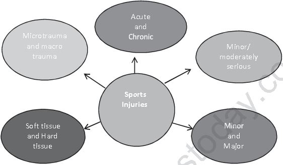 Class 12 Physical Education Physiology And Injuries In Sports_13