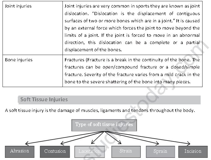 Class 12 Physical Education Physiology And Injuries In Sports_15