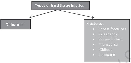 Class 12 Physical Education Physiology And Injuries In Sports_22