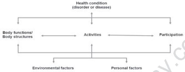 Class 12 Physical Education Planning And Sports For Children With Special_1