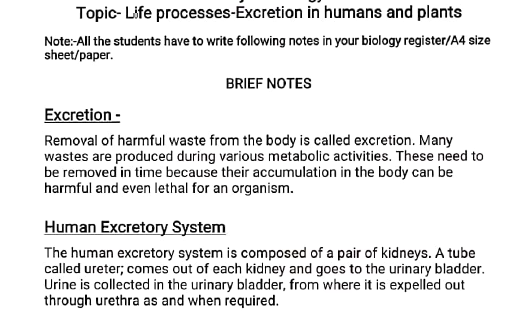 class 10 bio excretion 1