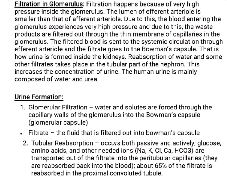 class 10 bio excretion 5