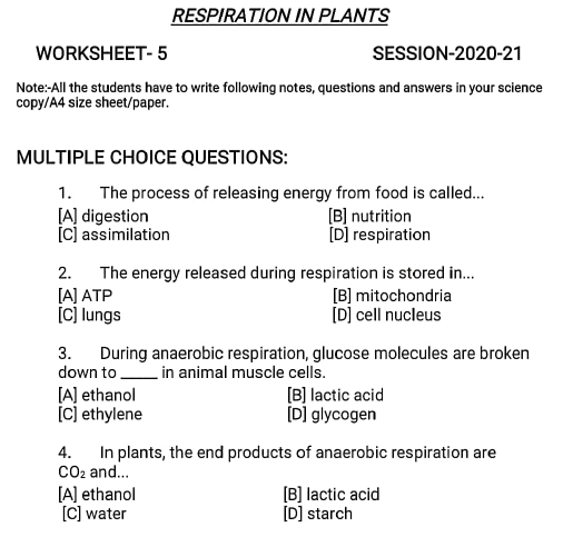 class 10 worksheet 5 respiration in plants 1