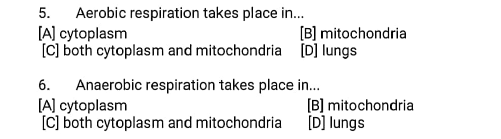 class 10 worksheet 5 respiration in plants 2