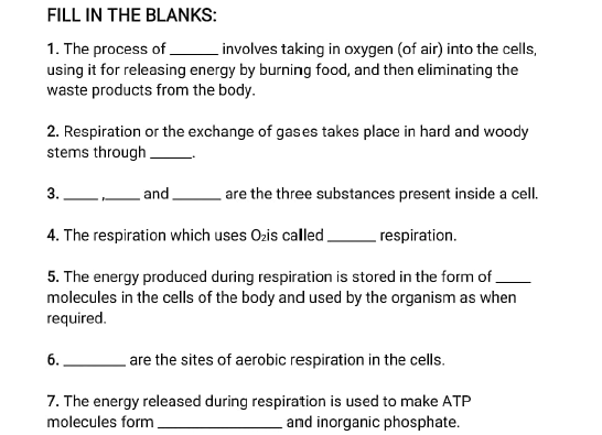 class 10 worksheet 5 respiration in plants 4