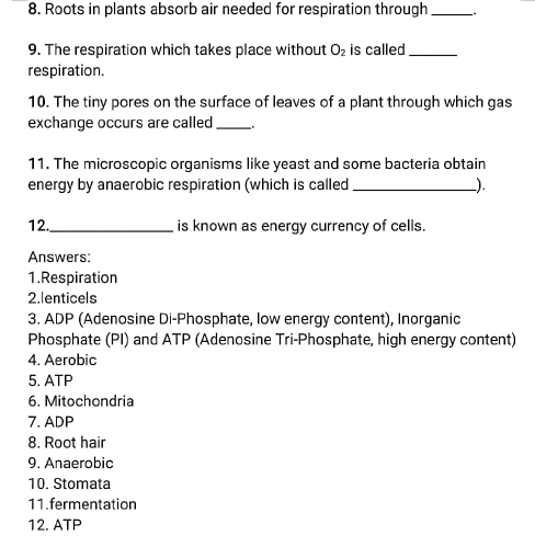 class 10 worksheet 5 respiration in plants 5
