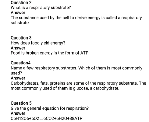 class 10 worksheet 5 respiration in plants 7