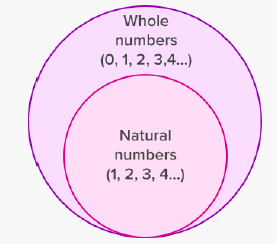 class vi Maths whole numbers worksheet .9 2