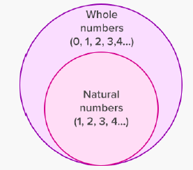 class vi Maths whole numbers  worksheet .9 2