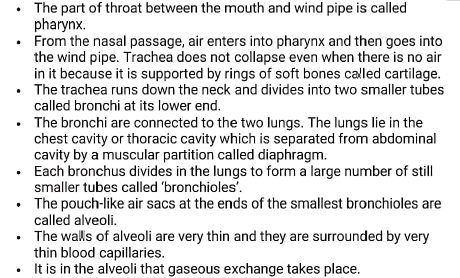 class10 bio notes3 respiration in human 2