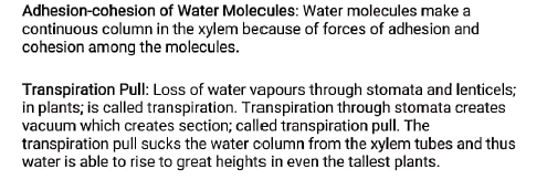 class10 biology notes1 transportation 3