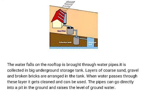 class6 science worksheet 4 10